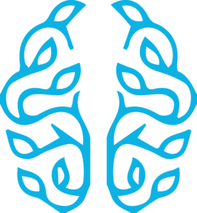 LifeCanvas logo