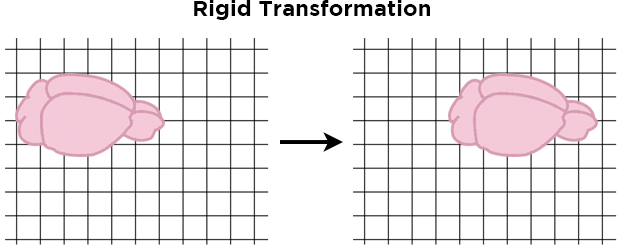Rigid transformation figure