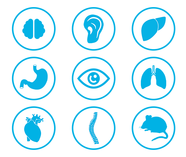 Icons highlighting different organs: brain, ear, liver, GI tract, eye, lungs, heart, spinal cord, whole mouse