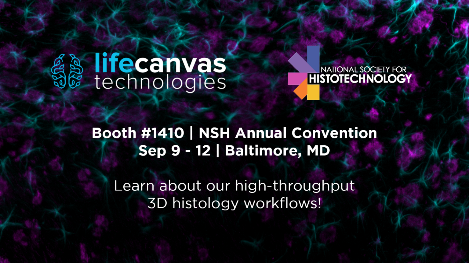 LifeCanvas Technologies at NSH 2023
