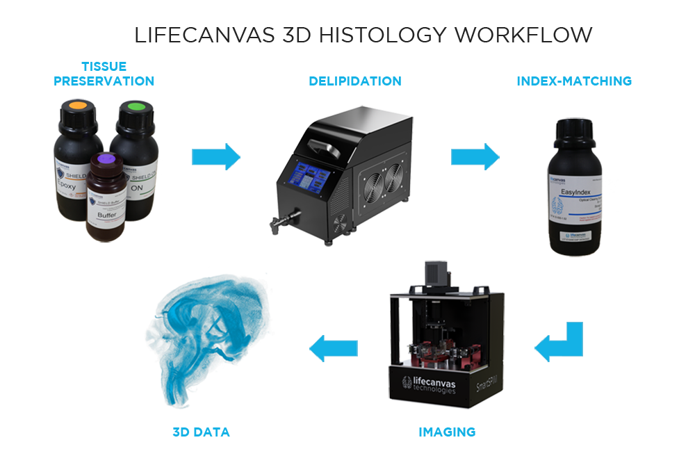 LifeCanvas 3D histology workflow