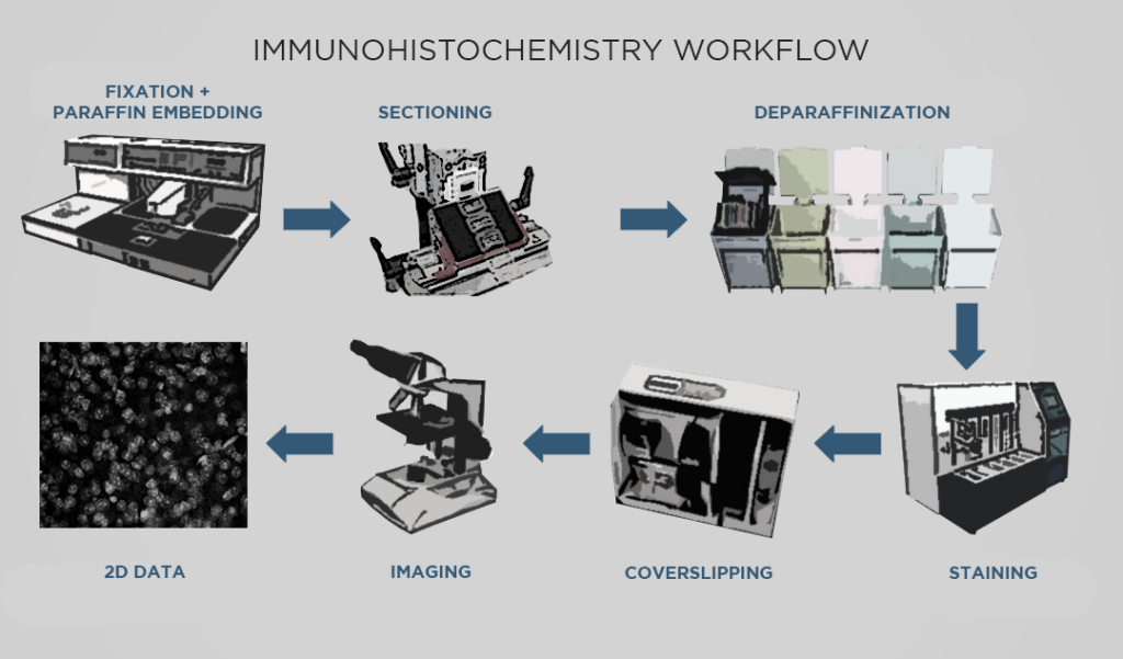 IHC workflow