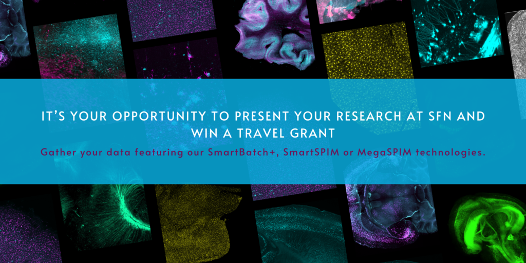 SfN 2024 Travel Grant